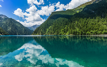 黑臭水体底泥原位治理技术研究